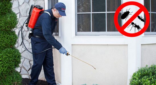 Şefaatli Dezenfeksiyon böcek ilaçlama ve haşere kontrolü — ilaclama-tr.com